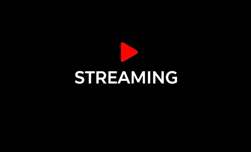 Netflix - 情侣影院合作伙伴