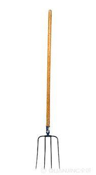 干叉图片,传统风味与现代创新的完美融合